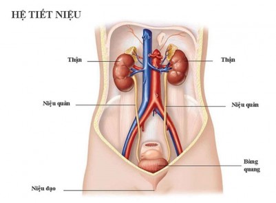  Tiểu Buốt, Tiểu Rắt: Nguyên Nhân và Phương Pháp Điều Trị Hiệu Quả
