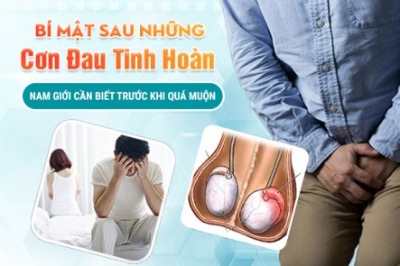 Bí Mật Sau Những Cơn Đau Tinh Hoàn: Nam Giới Cần Biết Trước Khi Quá Muộn