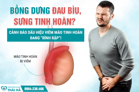 Bỗng Dưng Đau Bìu, Sưng Tinh Hoàn? Cảnh Báo Dấu Hiệu Viêm Mào Tinh Hoàn Đang “Rình Rập”!