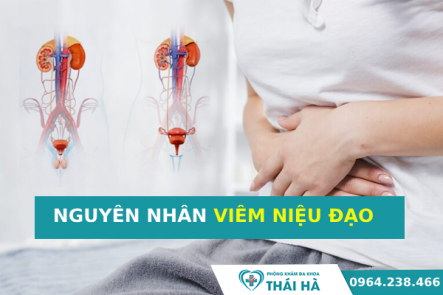 NGUYÊN NHÂN GÂY VIÊM NIỆU ĐẠO