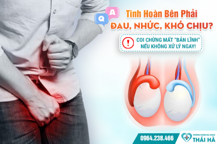 Tinh Hoàn Bên Phải Đau, Nhức, Khó Chịu? Coi Chừng Mất “Bản Lĩnh” Nếu Không Xử Lý Ngay!