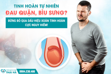 Tinh Hoàn Tự Nhiên Đau Quặn, Bìu Sưng? Đừng Bỏ Qua Dấu Hiệu Xoắn Tinh Hoàn Cực Nguy Hiểm!