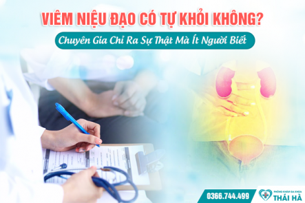 Viêm Niệu Đạo Có Tự Khỏi Không? Chuyên Gia Chỉ Ra Sự Thật Mà Ít Người Biết