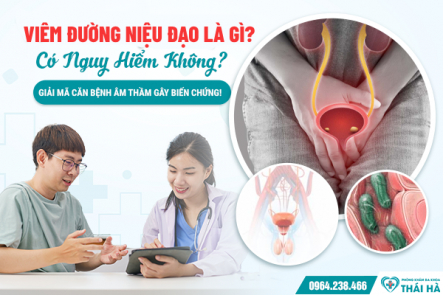 Viêm Đường Niệu Đạo Là Gì? Có Nguy Hiểm Không? Giải Mã Căn Bệnh Âm Thầm Gây Biến Chứng!