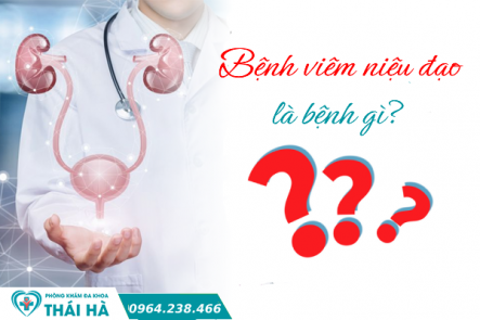 Bệnh viêm niệu đạo là bệnh gì?