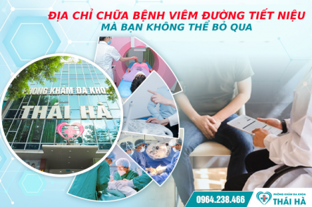 Địa Chỉ Chữa Bệnh Viêm Đường Tiết Niệu Mà Bạn Không Thể Bỏ Qua